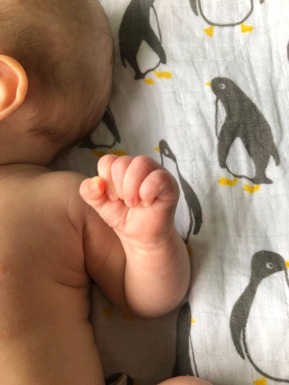 Penguin Muslin Square